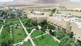 وبینار آموزشی آمادگی و پاسخ نظام سلامت در بلایا